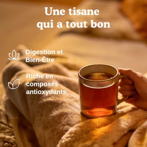 YOGI – Chaï Classic Bio – Infusion Épicée Naturellement Sans Caféine – Mélange de Cannelle, Cardamome & Gingembre – 17 Sachets – vue 3