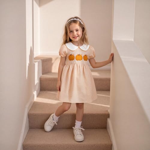 Toddler Girl Back to School Clothes Embroidery Smocked Dress Doll Collar Sundress First Day of Pre Kindergarten Outfit3