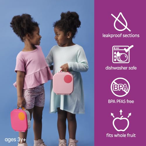 Image of b.box Lunch Box for Big Eaters All Ages - 8.5 Cup Leak Proof Bento Box with 4 Compartments, School Lunch Container with Ice Pack, Dishwasher Safe, BPA-Free, PFAS-Free - Flamingo Fizz