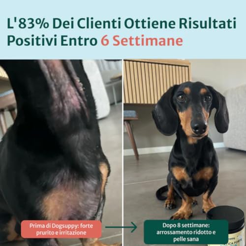 Dogsuppy Sollievo Prurito Probiotici Forte Per Cani – Ferma Prurito, Grattamento, Leccamento Delle Zampe E Mangiare L’Erba, Allevia Allergie E Lieviti, 100% Naturale, Sostiene Intestino E Immunità - 9