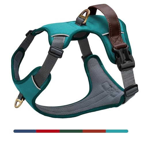 No Pull Dog Harness Small Sized Dog,Stylish PU Leather Vest with ...