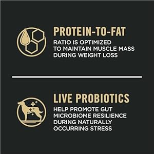 Purina Professional Plan Weight Administration Canine Meals Shredded Mix Rooster  Rice System  34 Lb Bag  Cucciolini Doodles Purina professional plan weight administration canine meals shredded mix rooster  rice system  34 lb Bag   cucciolini doodles