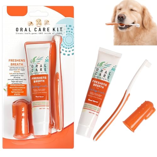 Hunde Zahnpflege Set, Hundezahnpasta gegen Zahnstein und Mundgeruch, für Hund und Katzen Entfernt Plaque und Mundgeruch (orange Farbe)