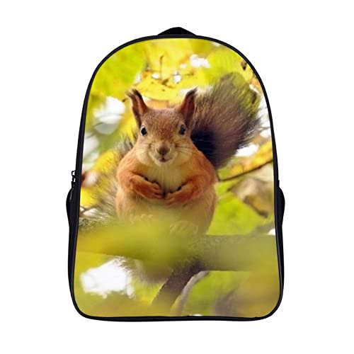 Sac à dos école 40x28x16cm anti-déchirure motif écureuil 3D