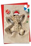 The Best Card Company - Cute Cat Merry Christmas Card with Envelope (4.63 x 6.75 Inch) - Tropical Beach Fun, Happy Holiday Greetings, Adults - Holiday Sand Angels Cat C6844BXSG