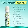Batiste Dry Shampoo, Original Fragrance Classic Clean, Refresh Hair and Absorb Oil Between Washes, Waterless Shampoo for Added Hair Texture and Body, 5.71 oz