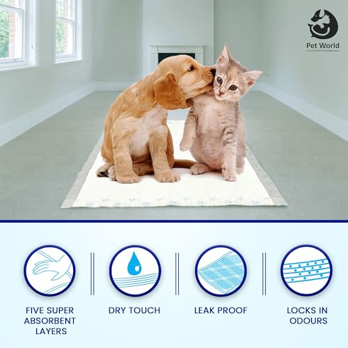 Image of Pet World Training Pads, with Odor Lock Technology & Super Absorbent Pee Pads, Leak-Proof Dog Potty Training Pads for Puppies, Dogs,Cats & Rabbits (60 X 60 cm)(100 Pcs)