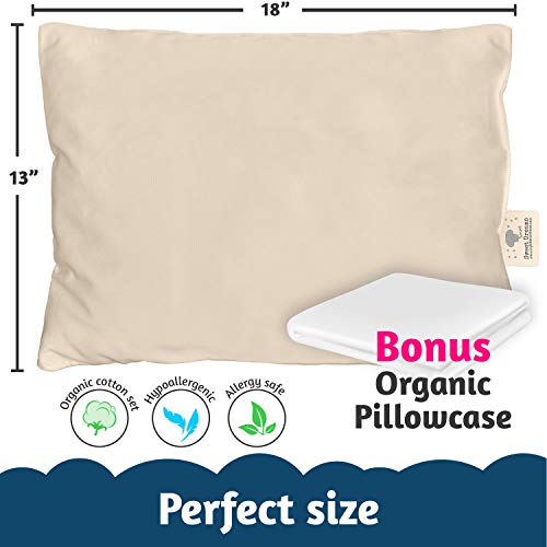 Image of Organic Toddler Pillow Made in the USA and Organic Cotton Pillowcase - 13x18 Soft Natural Cotton Toddler Pillow for Sleeping - Washable Baby Nap Pillow - Travel Pillow - Kids Sleeping Bedding