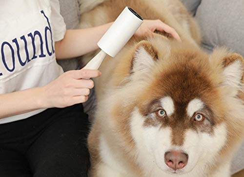 Image of House of Quirk Lint Rollers - Reusable Sticky Lint Roller Picker Cleaner, Easy-Tear Fighter Pet Hair Sheets 10cm, Set of 3 Rolls 180 Sheets