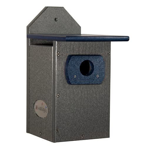 JCs Wildlife Recycled Poly Lumber Standard Bluebird Bird House (Blue and Gray)