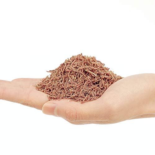 Bnyee Freeze Dried Bloodworms Fish Food thumb #4