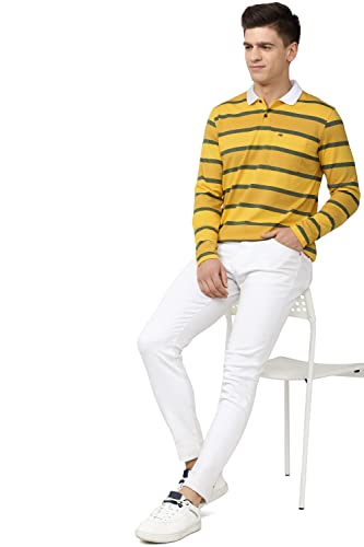 Image of Peter England Men Stripe Polo Neck Polo Regular Fit T-Shirts
