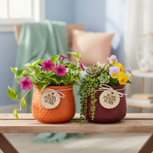 Image of Xtore Charming Textured Ceramic Planter Set with Wooden Tag Accent | Rustic Indoor Plant Pots for Desk, Shelf & Home Decor (Pack of 2, Planter only)
