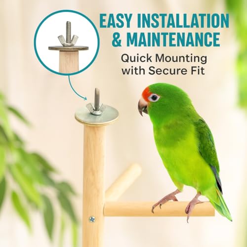 Image of KSK Natural Wood Multi-Branch Bird Perch Stand for Cage | Real Tree Branch Perch for Budgies, Cockatiels, Conures, Lovebirds & Parakeets | Hanging Wooden Bird Cage Accessory for Climbing & Playing