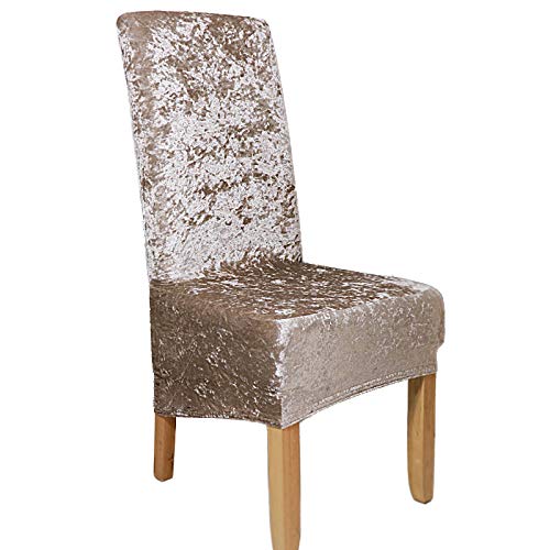 RDTRAVEL Lot de 6 housses de chaise extensibles en velours écrasé XL pour chaises de salle à manger, mariage, banquet, fête de mariage, fête Cover