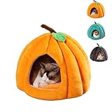 Cute Pumpkin Cat Bed for Indoor Cats，Pumpkin Shape Cat House with Removable Washable Cushioned Pillow，Cat Cave Bed Cat Tent for Puppy and Kitten (B-Orange,15 in)