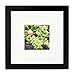 Tiny Mighty Frames - Wood, Square, Instagram, Photo Frame, 4x4 (Mat), 8x8 (1, Black)