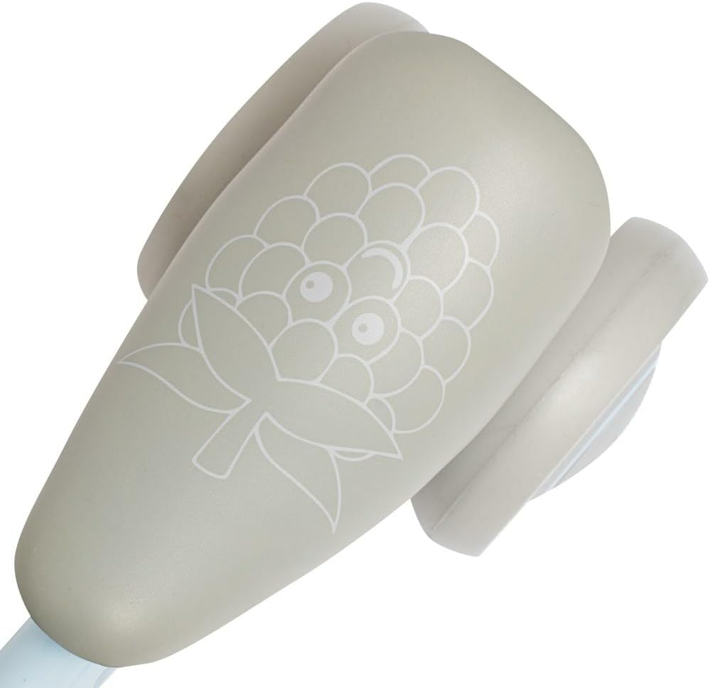 Baby Bicycle Fruit Blue