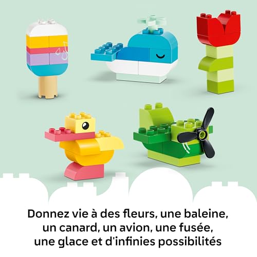 LEGO Duplo Classic Boîte Créative Colorée - Jeu Éducatif pour Motricité Fine de Bébé - Briques avec Chiffres, Animaux, Véhicules & Aliments - Cadeau d'anniversaire pour Fille ou Garçon dès 1 an 10479