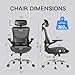 Ergonomic Office Chair, Mesh Office Chair with Adjustable Lumbar Support, SGS Class 4 Gas Cylinder Certification Upgraded Blue