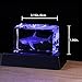 Qianwei 3D Crystals Shark Gifts for Shark Lovers,Shark Decor Glass Figurine Shark Jaw Stuff Birthday for Lovers,Keepsake&Paperweight