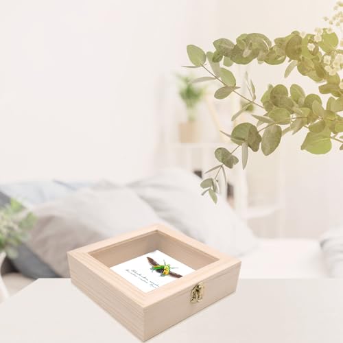 Image of 18 PCS Insect Specimen Tools Kit Large Insect Display Case Box Wooden Collection Box with Clear Top, 2 EVA Foam Pinning Board 10 Sheets Thin Tracing Paper 200 Pins 2 Tweezers 1 Scissors 1 Knife