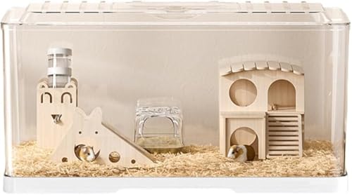 Yubbuio ^BBꑃANnEXA^ybgɓKʋCnX^[ƃbgpAɗDS[fxA (55,zCg)