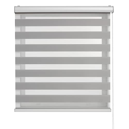 BLINDECOR | Estores Enrollables Noche y Día | Galería Metálica | Fácil Instalación a Pared y Techo | Modelo Luxury Basic | Color Gris | Medida Estor 200 x 250 cm | Tamaño de la Tela 197 x 245 cm