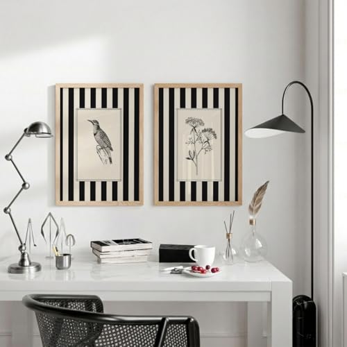 Image of TheMakerly Set of 2 Minimalist Black & White Framed Wall Painting for Living Room | Modern Botanical & Bird Illustration Wall Art | Aesthetic Striped Wall Decor Frames for Bedroom, Office & Hall (M.2, 13x19 inches)