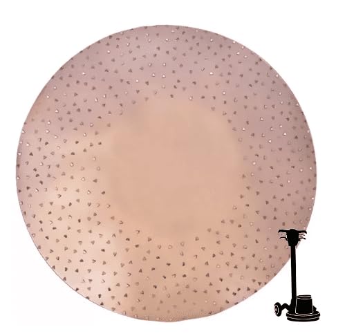 430mm (17") Tungsten P24 Hook & Loop Surface Preparation Floor Disc. Price per 1 disc.