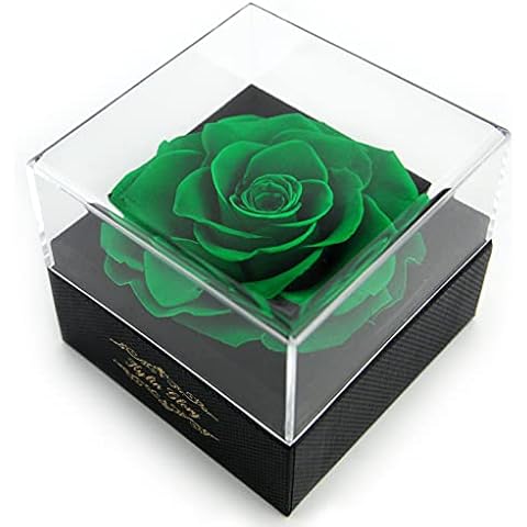 Kylin Glory Frische Schnittblume konservierte Rose für Frauen Mutter Frau Freundin - Blumengeschenk echte Rose Dekor für Muttertag Valentinstag Hochzeit Party Feier Geburtstag Jahrestag Cover