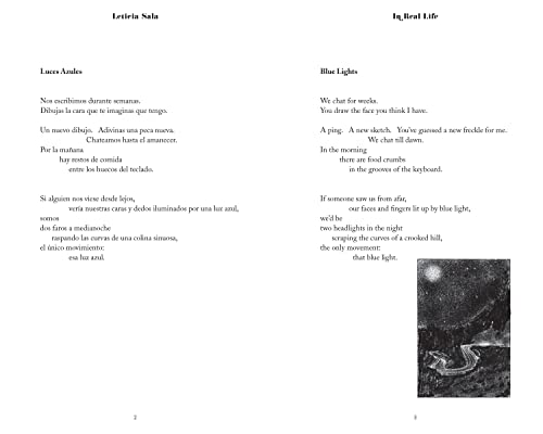 In Real Life: An English-Spanish Novel in Poems - Image 2
