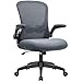 JUMMICO Bürostuhl Ergonomischer Schreibtischstuhl mit Klappbaren Armlehnen Drehstuhl Chefsessel Arbeitsstuhl Mesh Computerstuhl Netz Stuhl (Grau)