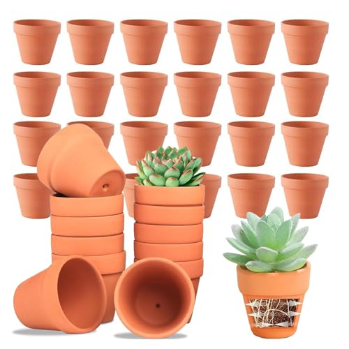 Colrid Pack 24 Macetas Mini Terracota 5x5,5