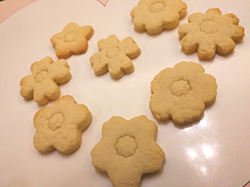 Jokumo Flower Blossom Cookie Cutters Set – 8 Pc High Grade 430 Stainless Steel – A Truly Unique Set For Flower Lovers #TOP4