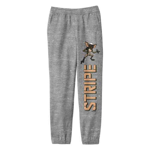 Bioworld Gremlins Stripe Character Vertical Text Youth Heather Gray Graphic Jogger Pants