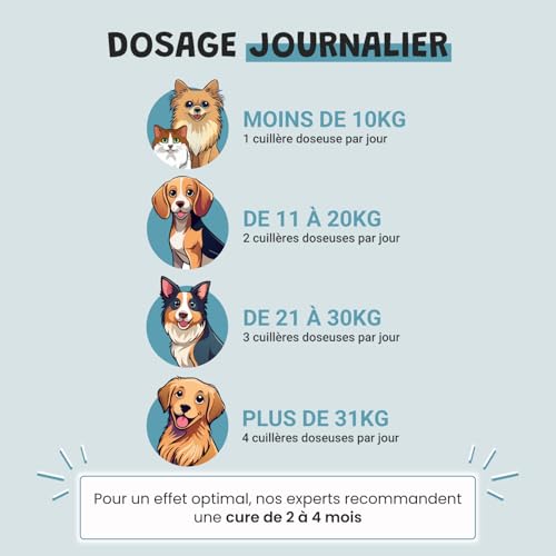Probiotiques Chien Chat - 135 Milliards UFC - Flore Intestinale Digestion Transit - Lactobacillus Inuline Chicorée - Goût Poulet - 100g - Fabriqué en France - Museau & Co – vue 5