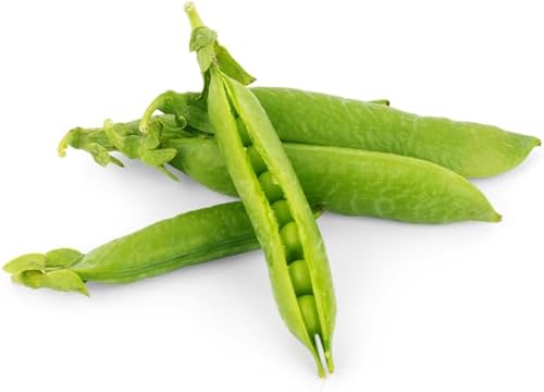 Miniatura 3 de Semillas de guisantes tiernos, más de 25 semillas de reliquia por paquete, sin OMG, (semillas de jardín de Isla), semillas de germinación Nombre