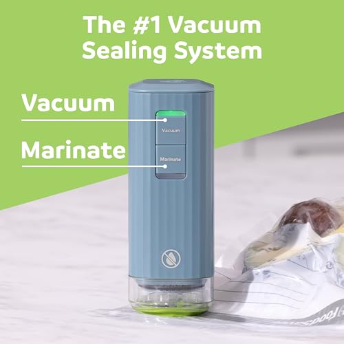 FoodSaver Mini Handheld Vacuum Sealer, Cordless, Vacuum Sealer with Charging Dock, Blue