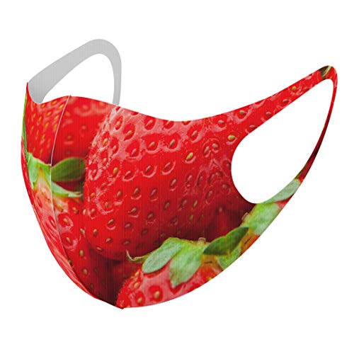 [X}R] fUC }XN QZbg |GXe 􂦂 z}XN XLTCY 傫 jp 000149    ʕ