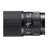 Sigma 105mm F2.8 DG DN Macro Art (L-mount)