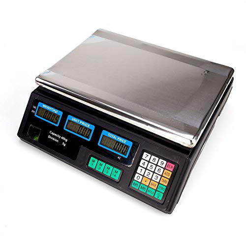 Best Computing Scale With Lcds
