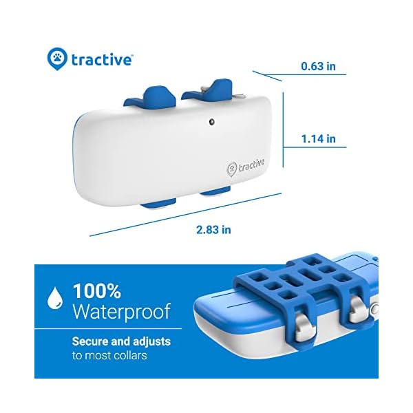 Tractive gps tracker for dogs - waterproof, gps location & smart pet activity tracker, unlimited range, works with any collar (white) - image 3