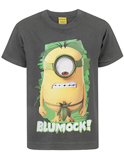MINIONS Despicable Me T-Shirt Kinder Jungen Mädchen Charakter Charcoal Top...