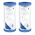 Pentair Pentek R50-BB Big Blue Pleated Polyester Sediment Water Filter, 10" x 4.5", 50 Micron, Whole House Reusable Cartridge, Pack of 2