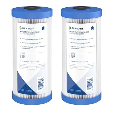 Pentair Pentek R50-BB Big Blue Pleated Polyester Sediment Water Filter, 10" x 4.5", 50 Micron, Whole House Reusable Cartridge, Pack of 2