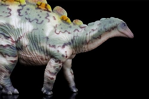 Wuerhosaurus figurine réaliste en PVC AMITD 1:35 modèle de collection - 8