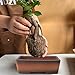MUZHI 2 Pack Handmade Color Gradational Terracotta Bonsai Pot 5 Inch and 6 Inch with Drip Tray, Breathable Unglazed Rectangle Ceramic Planter for Tree Succulent Cactus