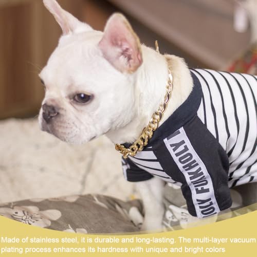 Goldenes Hundehalsband aus Metall mit sicherem Schnallendesign, für Haustiere verstellbar mit Verlängerungskette für kleine Hunde und Haustiere, Gold, L 60 cm