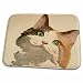 3dRose Im All Ears - animal, calico, calico cat, cat, cats,... - Dish Drying Mats (ddm-46732-1)